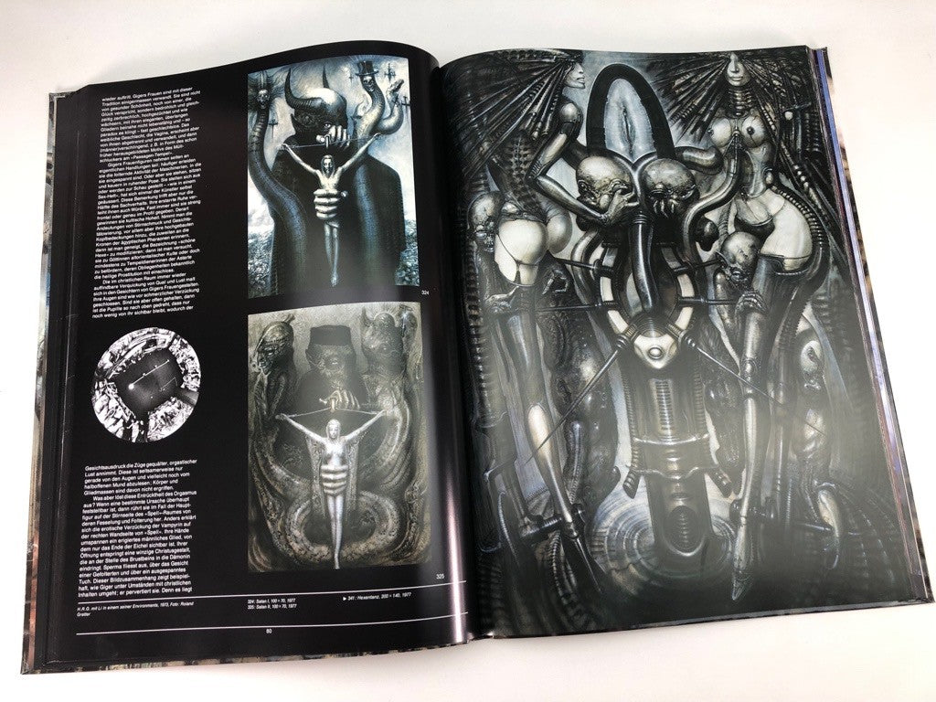 Image #8